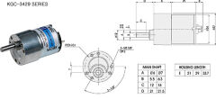 DC 24 Volt  300 RPM GGM Redüktörlü Motor